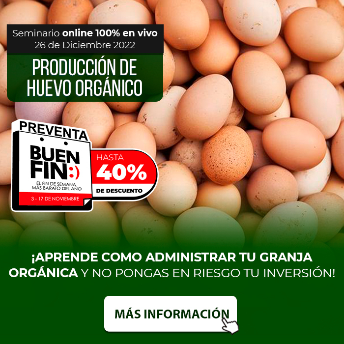 Huevo-Organico-4